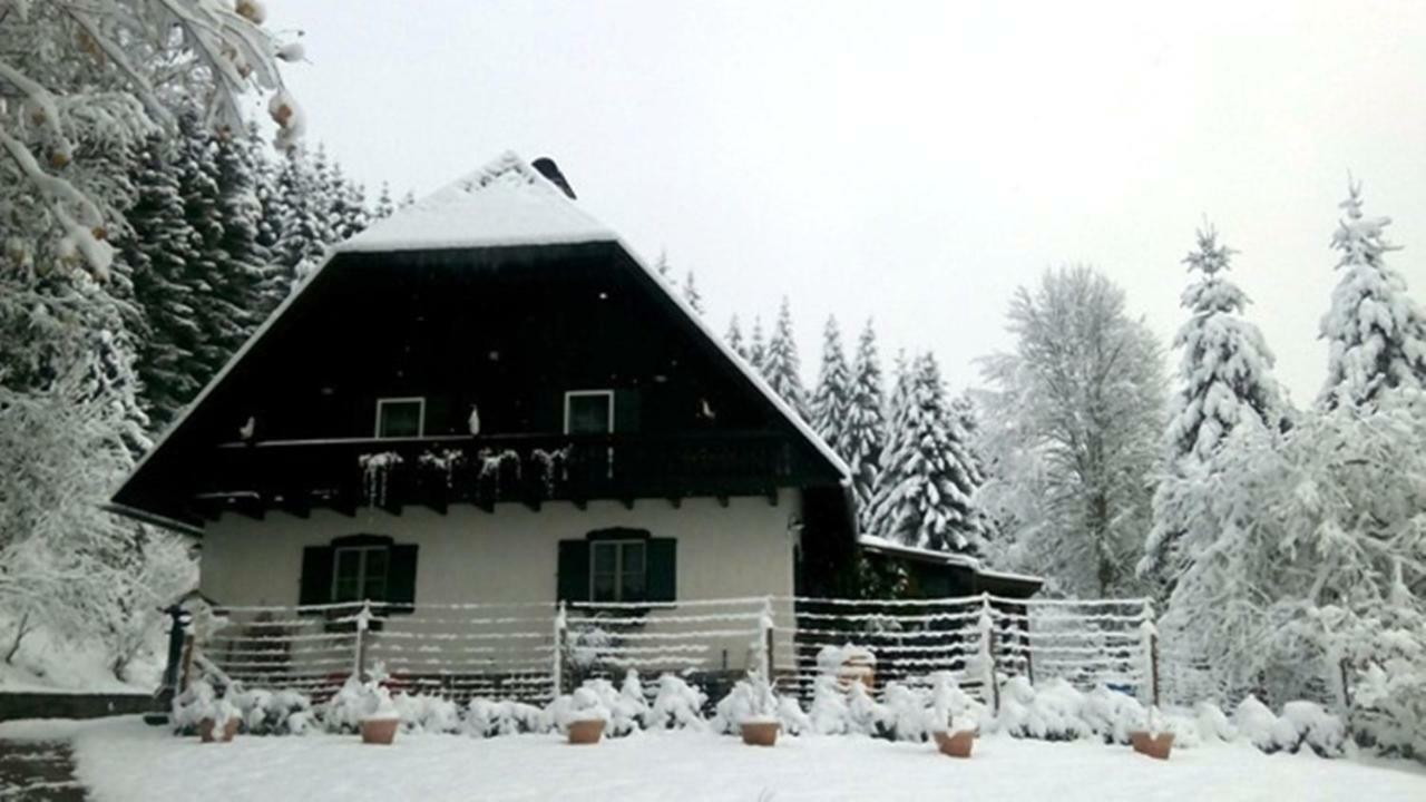 Gaestehaus Fridolin Krieglach Dış mekan fotoğraf