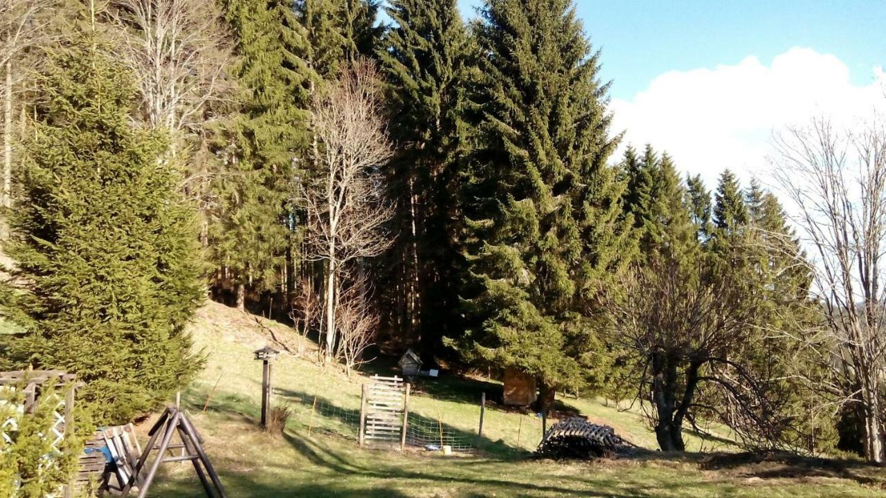 Gaestehaus Fridolin Krieglach Dış mekan fotoğraf