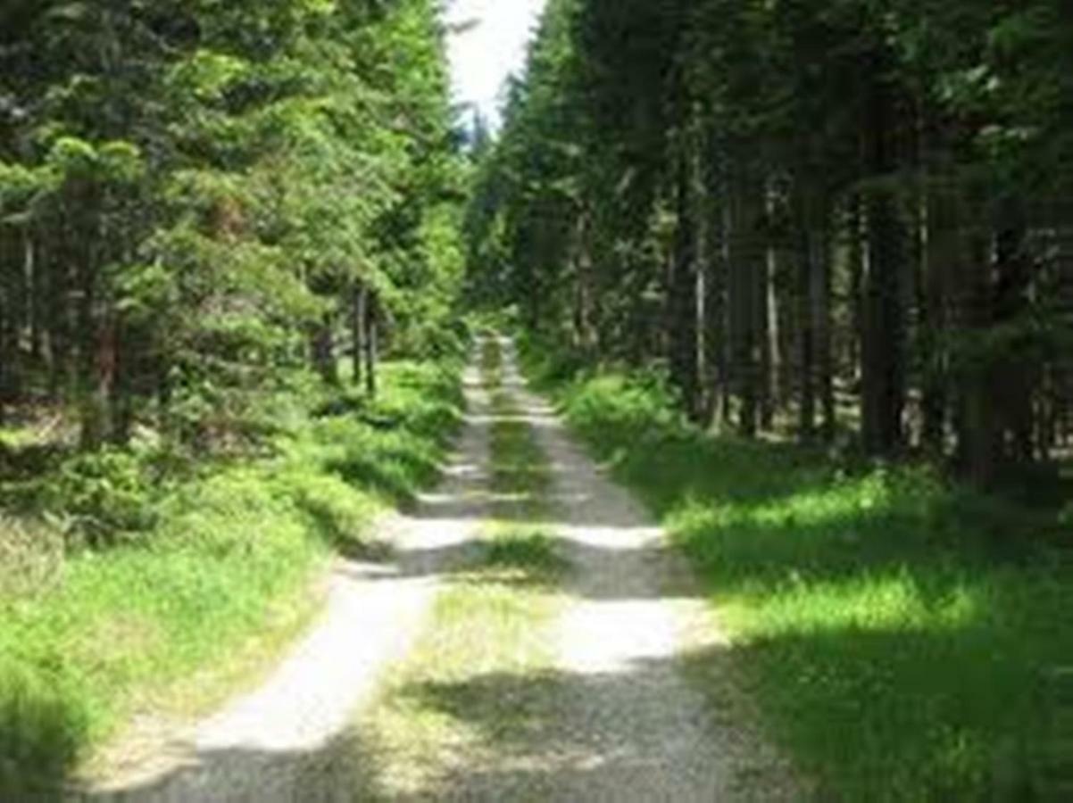 Gaestehaus Fridolin Krieglach Dış mekan fotoğraf
