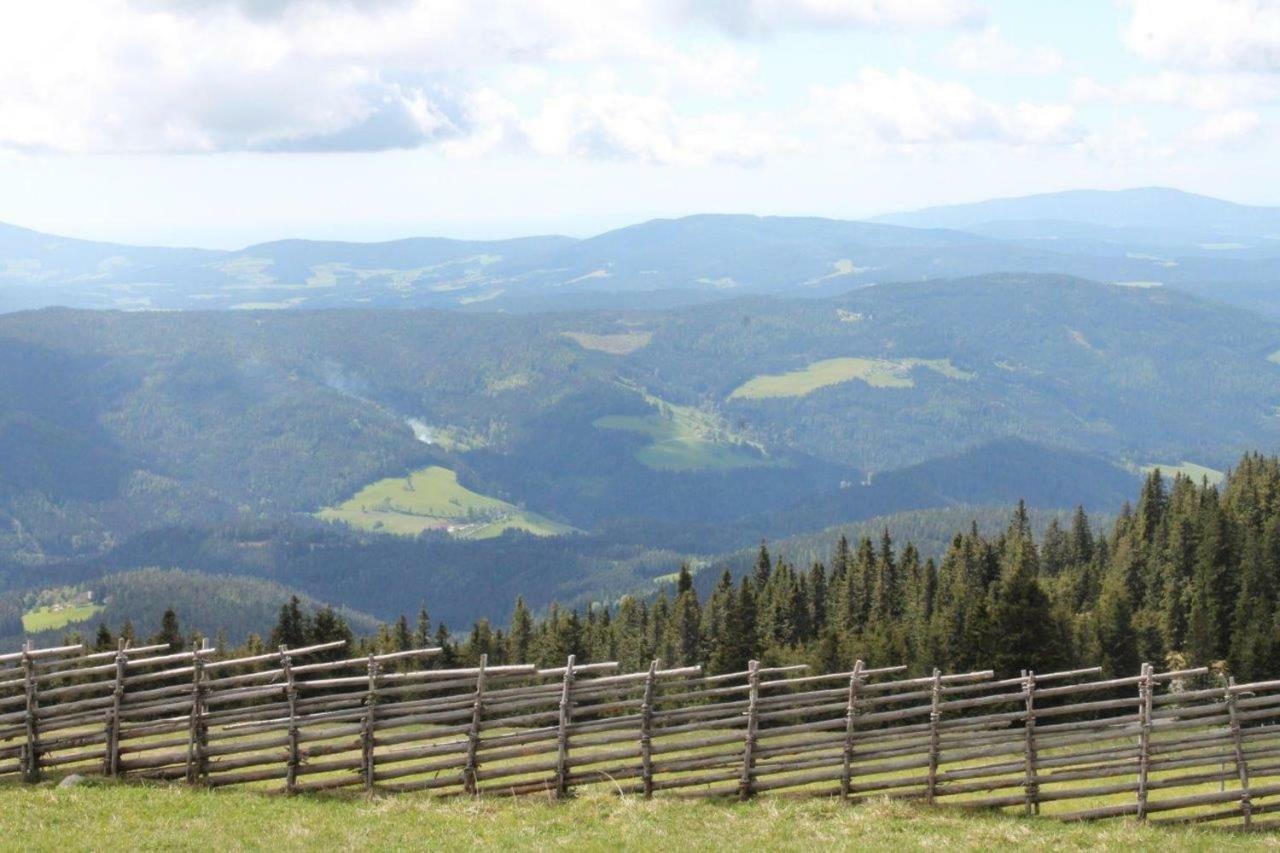 Gaestehaus Fridolin Krieglach Dış mekan fotoğraf
